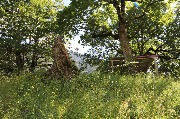X09A9408.JPG