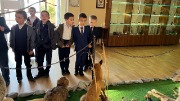 IMG_9619.jpg