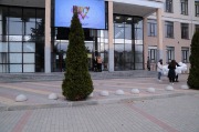 J79A8590.JPG