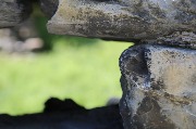 X09A9347.JPG