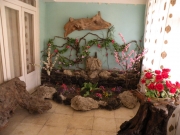 DSCN5641.jpg