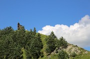 X09A9571.JPG
