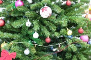 X09A1385.JPG