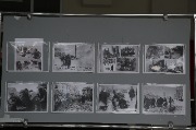 J79A8420.JPG