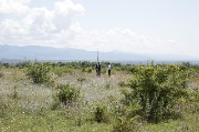 J79A4427.JPG