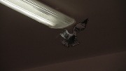 DSCN9089.JPG