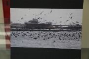 X09A6236.JPG