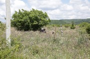 J79A4473.JPG