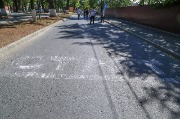 J79A9084.JPG