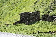 X09A9319.JPG