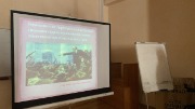 IMG_6196.jpeg