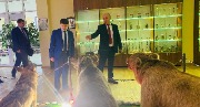 IMG_8374.jpg