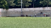IMG_1856.jpg