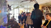 IMG_9600.jpg