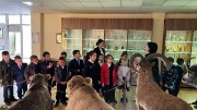 IMG_9633.jpg